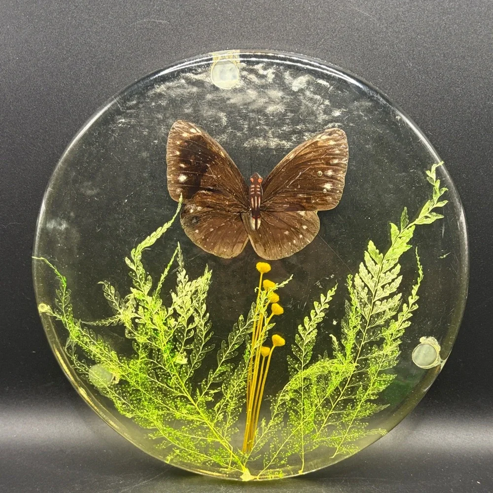 Vintage Butterfly Dried Flowers Trivet Resin Acrylic Lucite 1970s Kitchen Retro